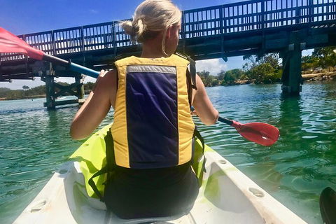 2-Hour Rental Kayak Double In Brunswick River - Accommodation Search 3
