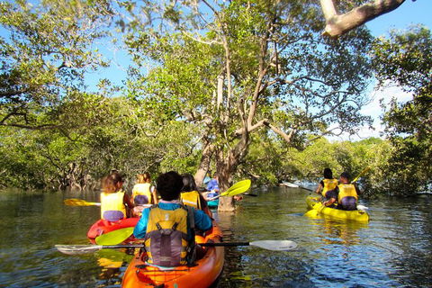 2-Hour Rental Kayak Double In Brunswick River - Accommodation Search 2