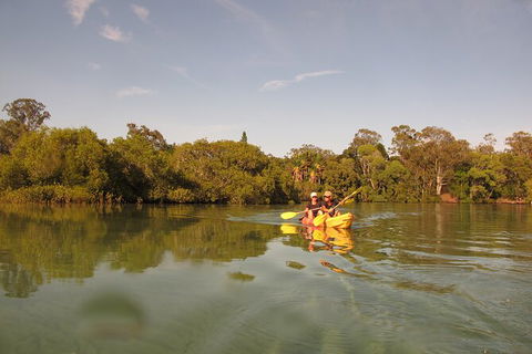 2-Hour Rental Kayak Double In Brunswick River - Accommodation Search 5