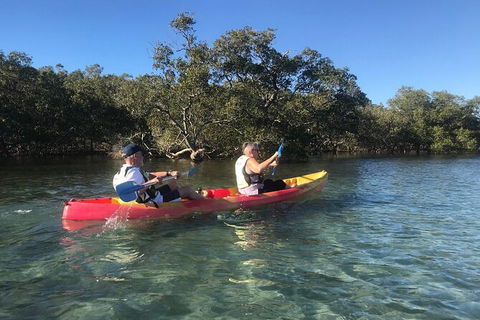 2-Hour Rental Kayak Double In Brunswick River - Accommodation Search 4