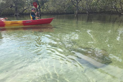2-Hour Rental Kayak Double In Brunswick River - Accommodation Search 6
