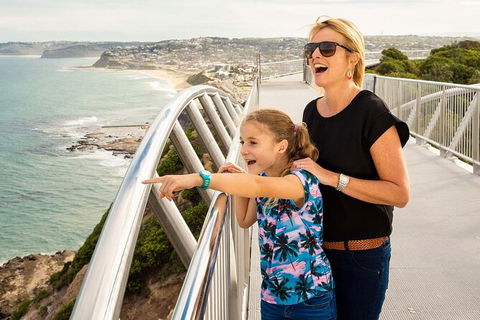 Newcastle Scenic Explorer - 2 Hour Tour By Minibus - Accommodation Search 0