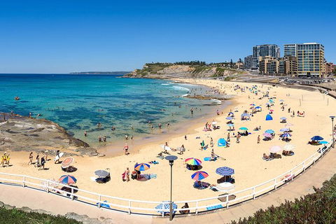 Newcastle Scenic Explorer - 2 Hour Tour By Minibus - Accommodation Search 16