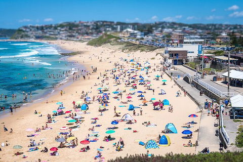 Newcastle Scenic Explorer - 2 Hour Tour By Minibus - Accommodation Search 6