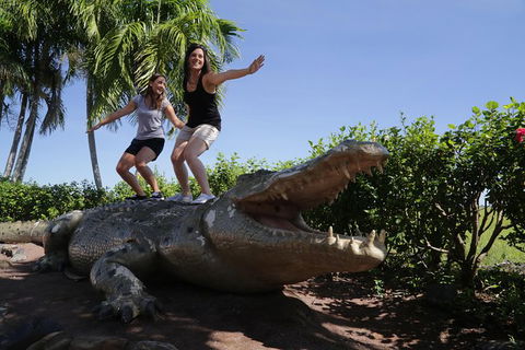 Jumping Crocs & Nature Adventure Cruise From Darwin - Accommodation Search 5
