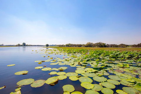 Jumping Crocs & Nature Adventure Cruise From Darwin - Accommodation Search 8
