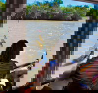 Jumping Crocs  Nature Adventure Cruise from Darwin - Accommodation Search
