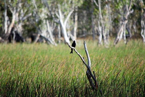 ETHICAL ADVENTURES - Dry Season Litchfield Region, Max 10 Guests - Accommodation Search 2