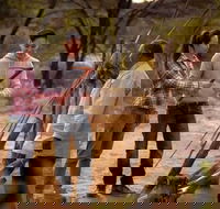 Karrke Aboriginal Cultural Experience - Accommodation Search