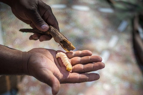 Karrke Aboriginal Cultural Experience - Accommodation Search 4