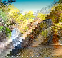 Litchfield National Park Waterfalls Day Trip From Darwin Including Termite Mounds and Lunch - Accommodation Search