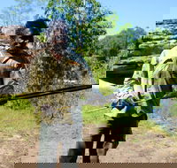 Kakadu  Arnhem Land tour Camping tour - Accommodation Search