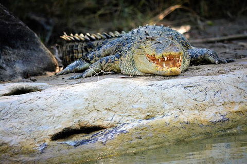 Ethical Adventures - Kakadu 2 Day- Max 10 Guests - Accommodation Search 3