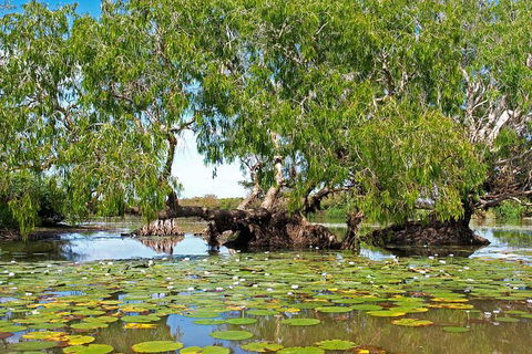 Ethical Adventures - Kakadu 2 Day- Max 10 Guests - Accommodation Search 10