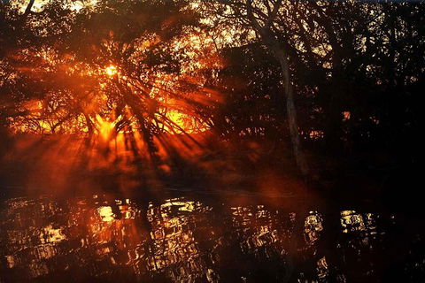 Ethical Adventures - Kakadu 2 Day- Max 10 Guests - Accommodation Search 5