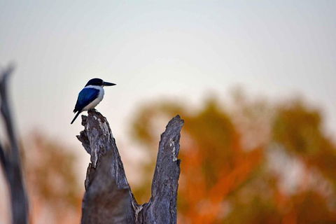 Ethical Adventures - Kakadu 2 Day- Max 10 Guests - Accommodation Search 4