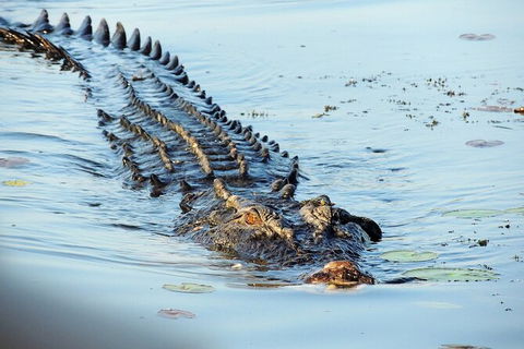 Ethical Adventures - Kakadu 2 Day- Max 10 Guests - Accommodation Search 8