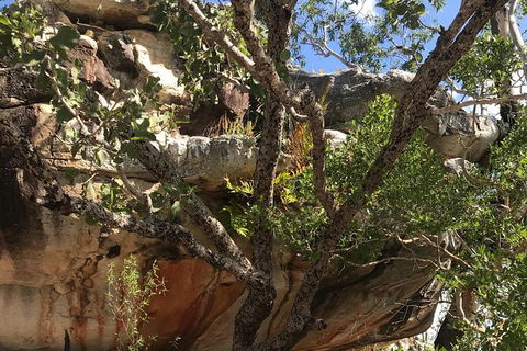 2-Hour 4WD Tour: Groote Eylandt Snapshot - Accommodation Search 3