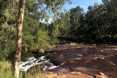 4-Hour Groote Eylandt Explorer 4WD Tour - Accommodation Search 5