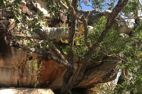 4-Hour Groote Eylandt Explorer 4WD Tour - Accommodation Search 1