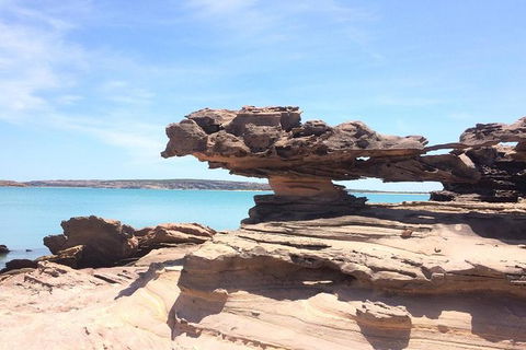 Groote Eylandt Tour: Hanging Rock Cave Paintings - Accommodation Search 0