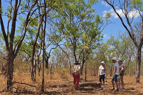World War II Beyond Darwin - Accommodation Search 4