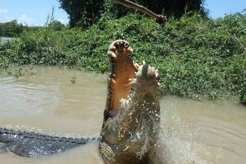 Jumping Crocodile Day Trip From Darwin - Accommodation Search 4