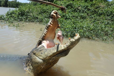 Jumping Crocodile Day Trip From Darwin - Accommodation Search 2