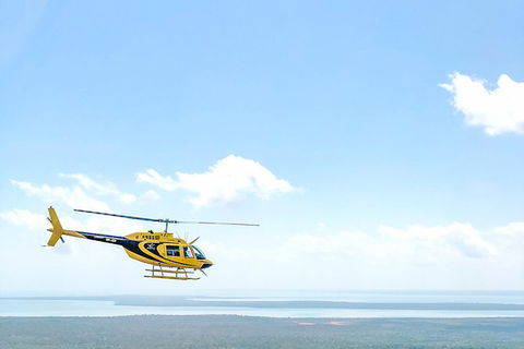 Darwin Cyclone 30 Minutes Private Helicopter Tour - Accommodation Search 3