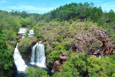 Darwin: Premium Litchfield Regional 11 Hours Tour - Accommodation Search 5
