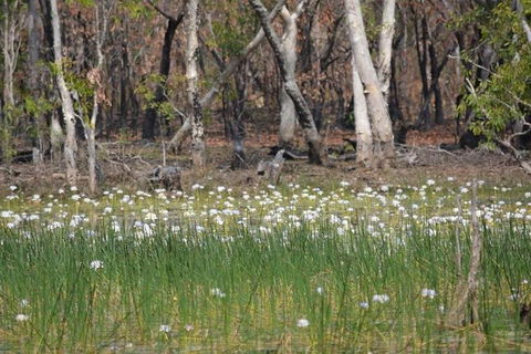 Darwin: Premium Litchfield Regional 11 Hours Tour - Accommodation Search 4