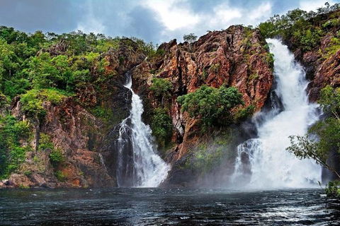 Darwin: Premium Litchfield Regional 11 Hours Tour - Accommodation Search 0