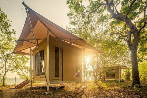 5 Day Kakadu National Park And Arnhem Land Tour - Accommodation Search 7