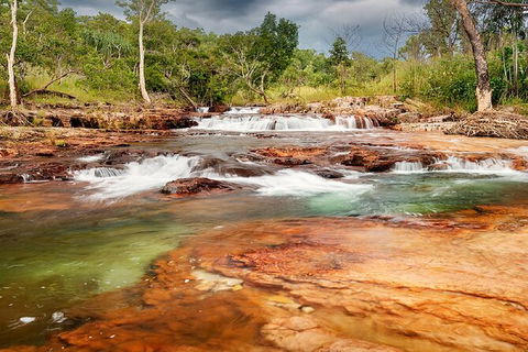 Full-Day Private Guided Tour To Litchfield National Park - Accommodation Search 14