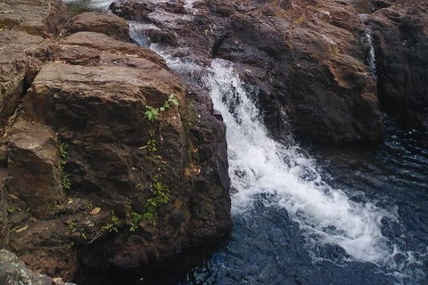 Full-Day Private Guided Tour To Litchfield National Park - Accommodation Search 8