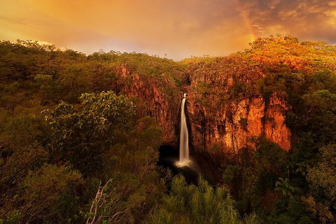 Full-Day Private Guided Tour To Litchfield National Park - Accommodation Search 20