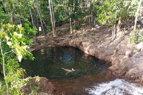 Full-Day Private Guided Tour To Litchfield National Park - Accommodation Search 18
