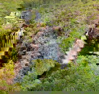 Full-Day Private Guided Tour to Litchfield National Park - Accommodation Search