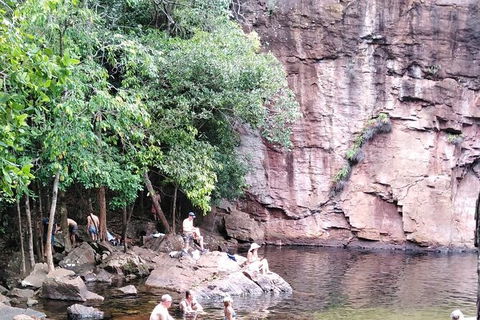 Full-Day Private Guided Tour To Litchfield National Park - Accommodation Search 16