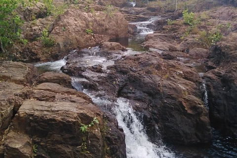 Full-Day Private Guided Tour To Litchfield National Park - Accommodation Search 15