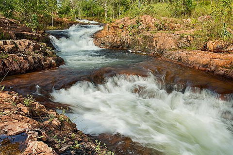 Full-Day Private Guided Tour To Litchfield National Park - Accommodation Search 3