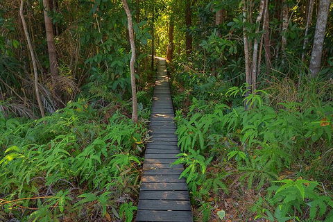 Full-Day Private Guided Tour To Litchfield National Park - Accommodation Search 7