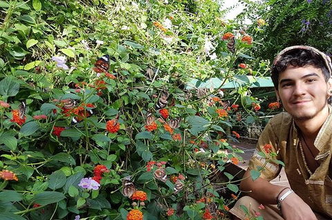 Full-Day Private Guided Tour To Litchfield National Park - Accommodation Search 17