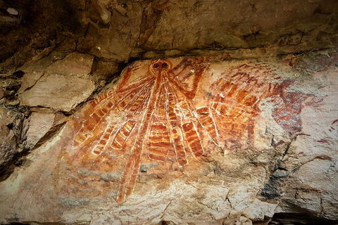Arnhem Land Injalak Hill Full-Day Tour From Darwin - Accommodation Search 1