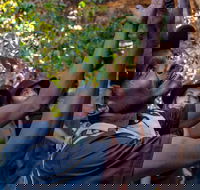 Arnhem Land Injalak Hill Full-Day Tour from Darwin - Accommodation Search