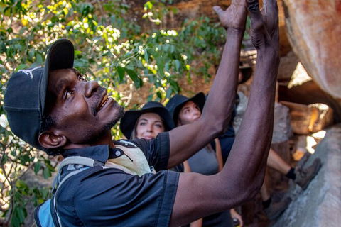 Arnhem Land Injalak Hill Full-Day Tour From Darwin - Accommodation Search 0