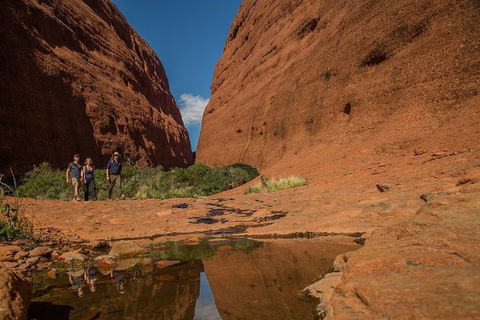 4 Day/3 Night Perentie Dreaming Safari - Accommodation Search 3