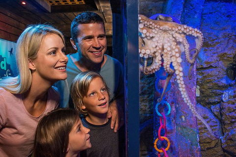 SEA LIFE Sunshine Coast Aquarium Entrance Ticket - Accommodation Search 5
