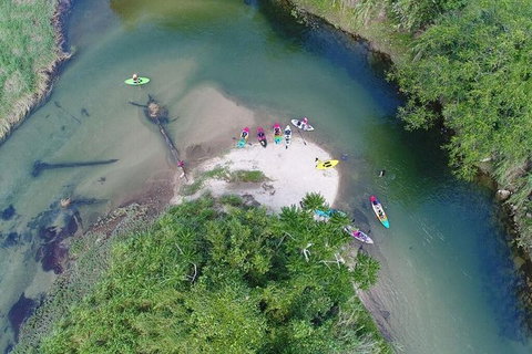 Babinda Half Day Or Full Day Stand-up Paddle Board Self-Guided Tour - Accommodation Search 1