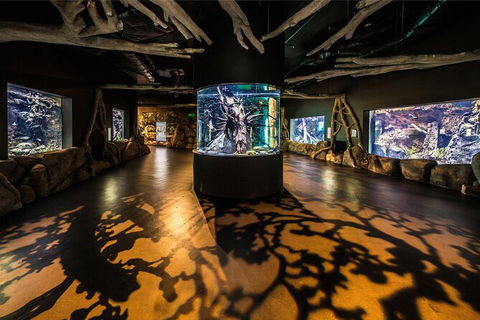Cairns Aquarium Tour By Twilight With Drink And Appetiser - Accommodation Search 4